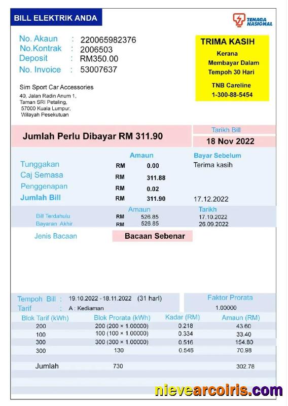 INDIA TENAGA NASIONAL utility bill